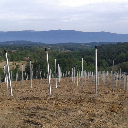 stubovi protivgradne mreze plantaza borovnica